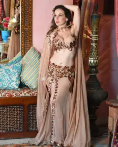 danseuse orientale restaurant 77